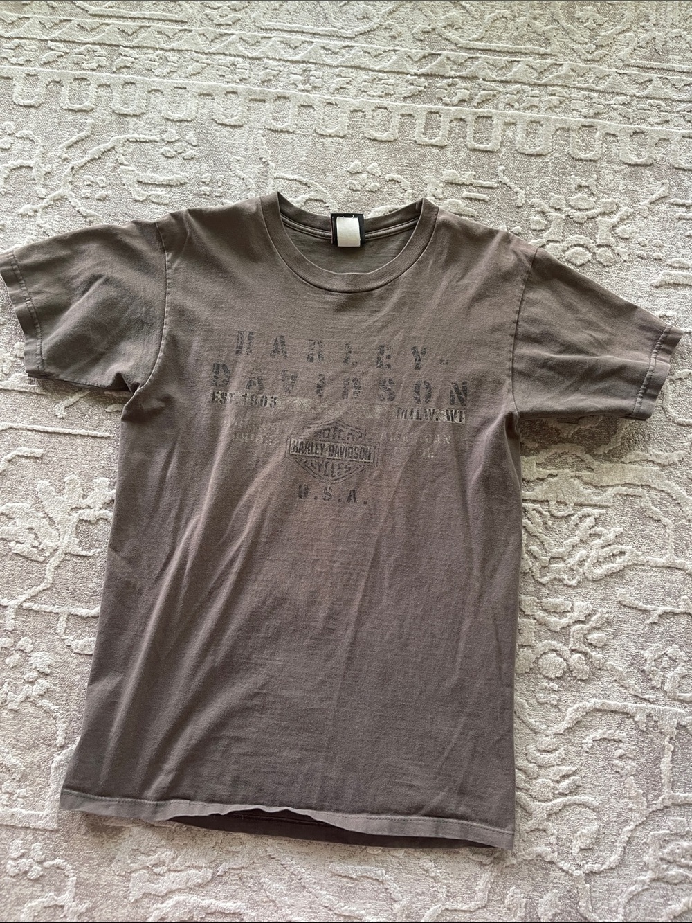 Harley-Davidson Taupe Short Sleeve Logo Tee Rice Lake, WI